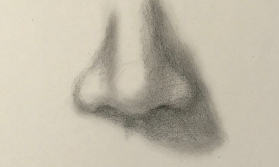 Great How To Draw The Human Nose in the world Check it out now 
