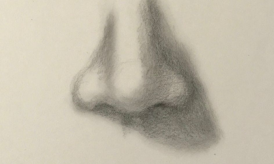 human nose drawing