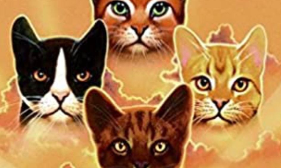 Warrior Cats Cat Science Summer Camp Small Online Class For