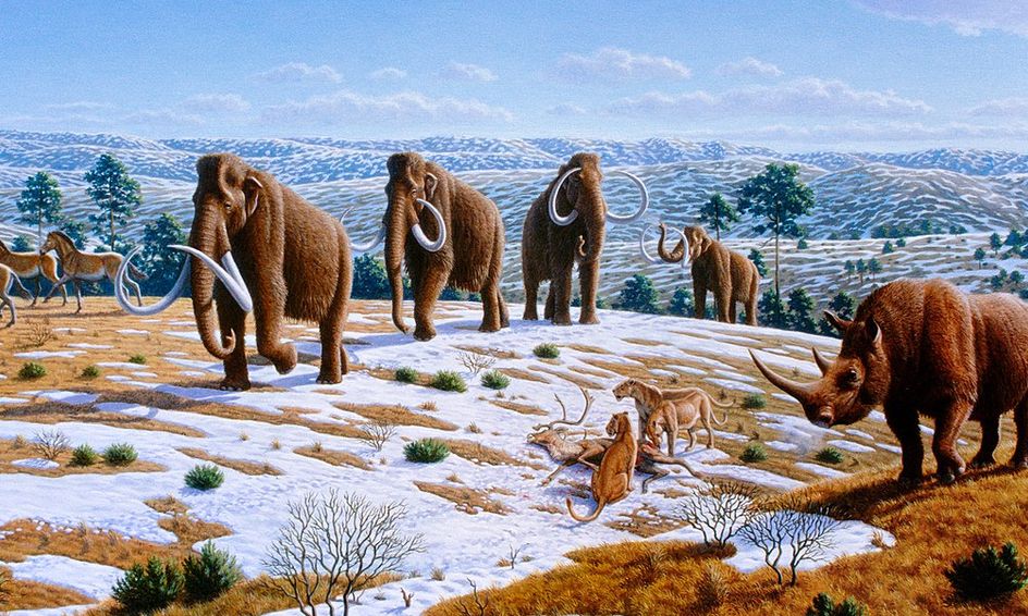 The Ice Age A Tour of the Pleistocene! Small Online Class for Ages 6