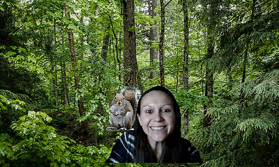 Forest Habitats What Can We Find In A Forest Small Online Class For Ages 4 7 Outschool