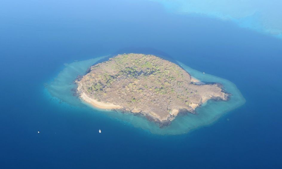 Escape Room Desert Island Survival Small Online Class For Ages 9 14 Outschool