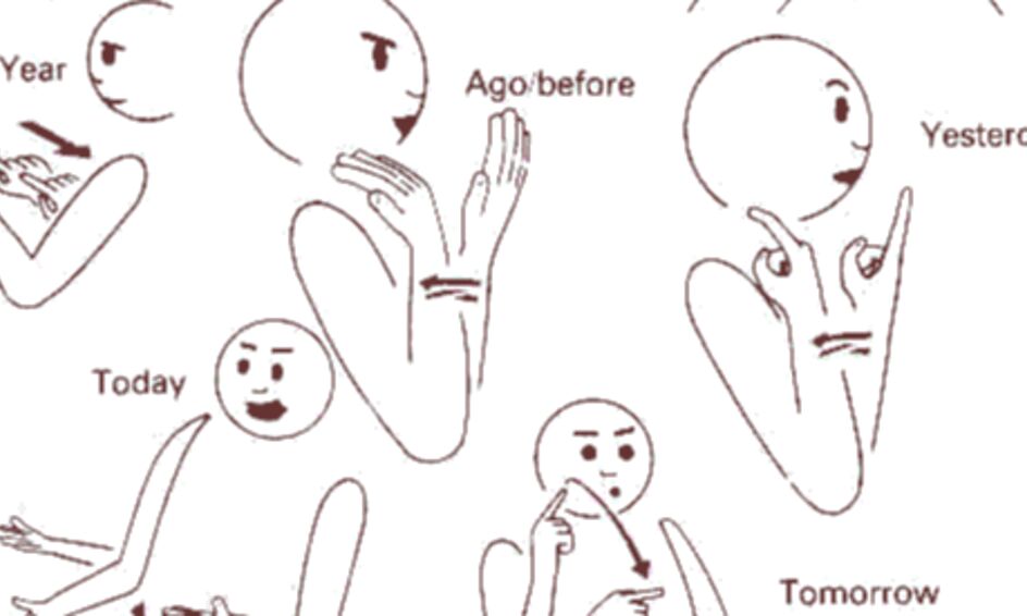 Introduction To British Sign Language Small Online Class For