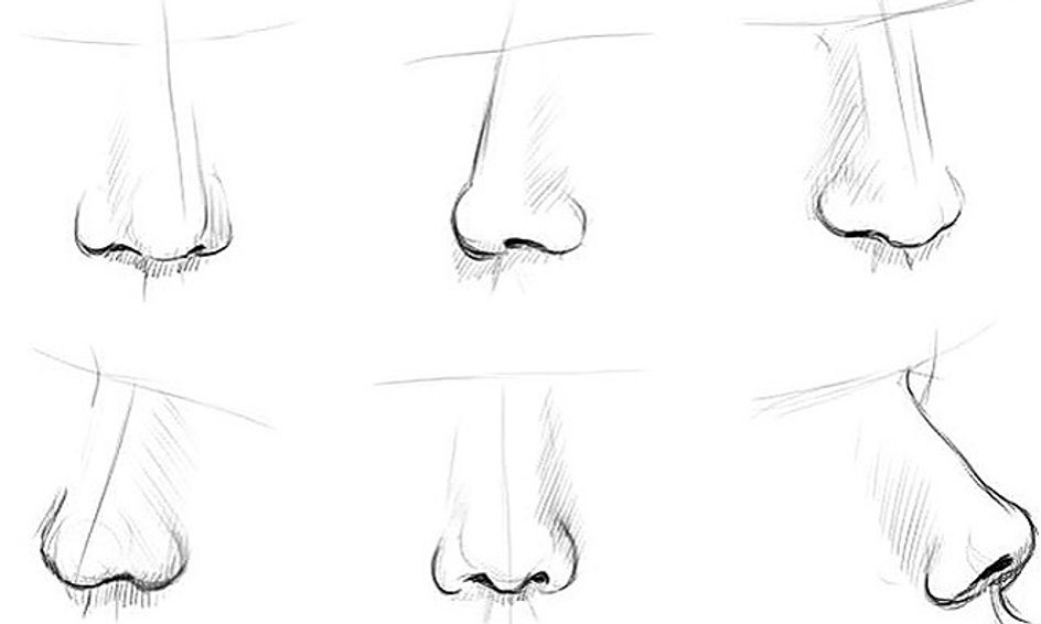 The Nose Knows Drawing Class | Small Online Class for Ages 10-15 ...
