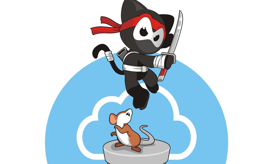Cat Ninja Comic Book Reading Club Small Online Class for Ages 7