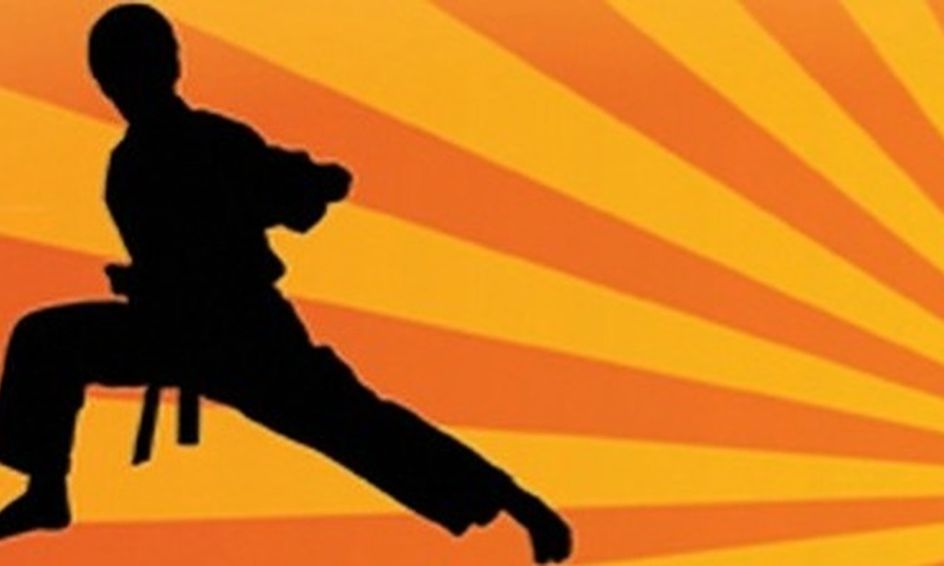 Martial Arts Private Instruction Small Online Class For Ages 8