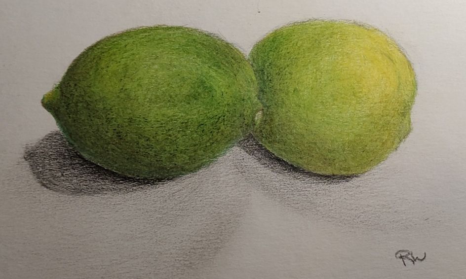 How To Draw Realistic Limes Fruits With Colored Pencils Small Online Class For Ages 9 14 Outschool Will be shipped via registered turkish post after receiving payment. how to draw realistic limes fruits with colored pencils small online class for ages 9 14