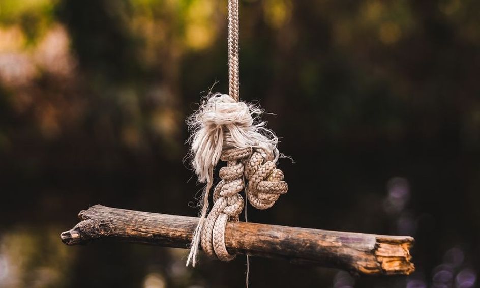Bridge To Terabithia Reading And Discussion Flexible Schedule Small Online Class For Ages 8 13 Outschool