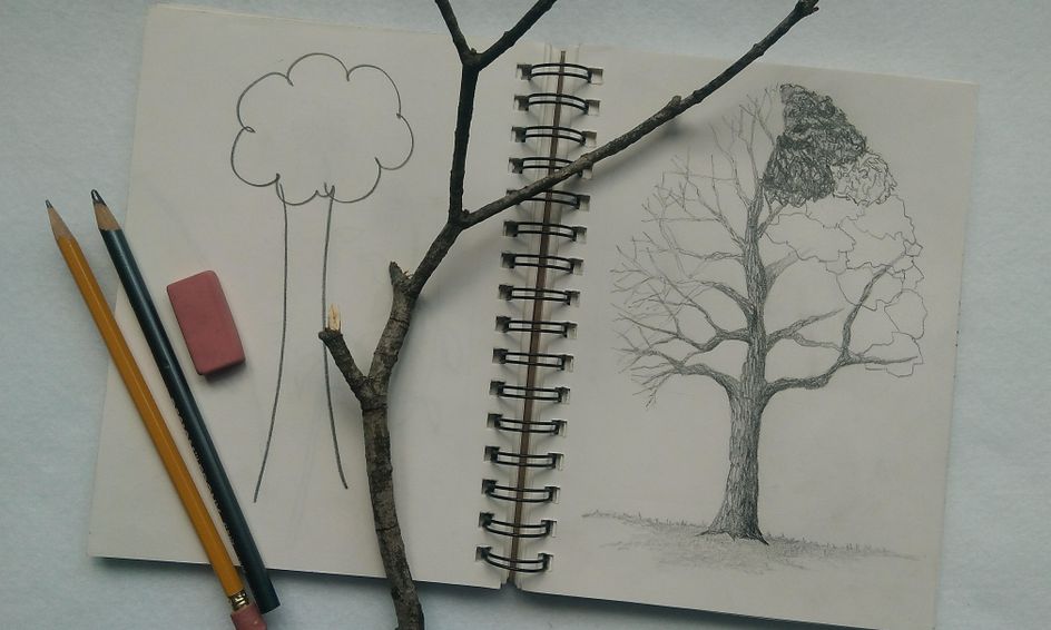 Drawing Trees With Amy Roadman 6 9 Yrs Small Online Class For