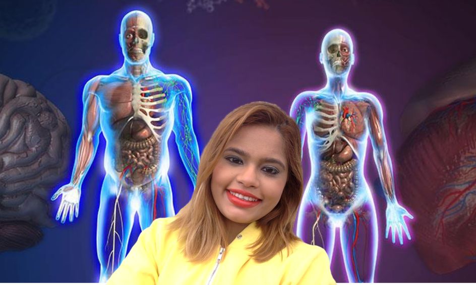 Middle School Semester Long Human Anatomy Small Online Class For