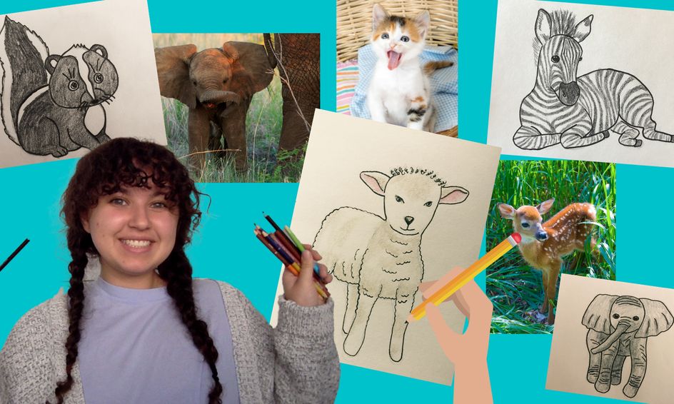 Baby Animals Drawing Club Learn Drawing Skills While Drawing Cute Animals Small Online Class For Ages 8 12 Outschool