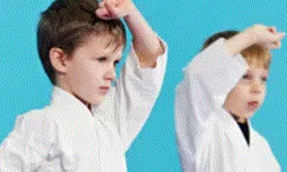 Martial Arts Class Younger Students Small Online Class For Ages
