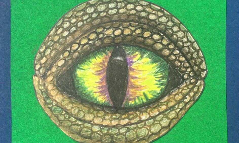 Dragon Eye Drawing Small Online Class For Ages 7 12 Outschool