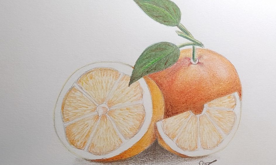 How to Draw and Shade Realistic Fruit Using Colored Pencils Small