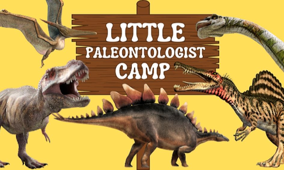 dinosaur camp games
