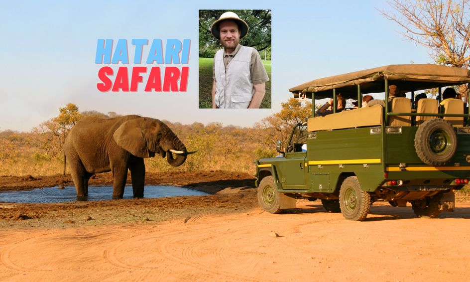 hatari safari