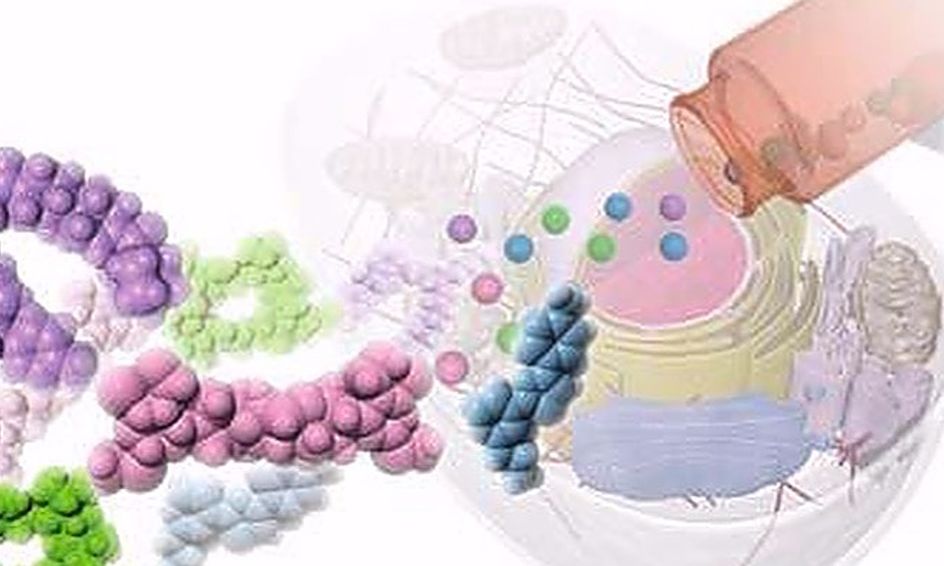 Ap Biology Camp Unit 1 The Chemistry Of Life Small Online