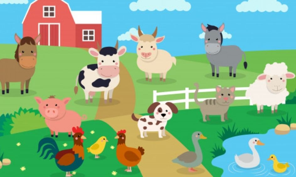 Learning The Animals From The Farm In Spanish Small Online Class For Ages 5 8 Outschool
