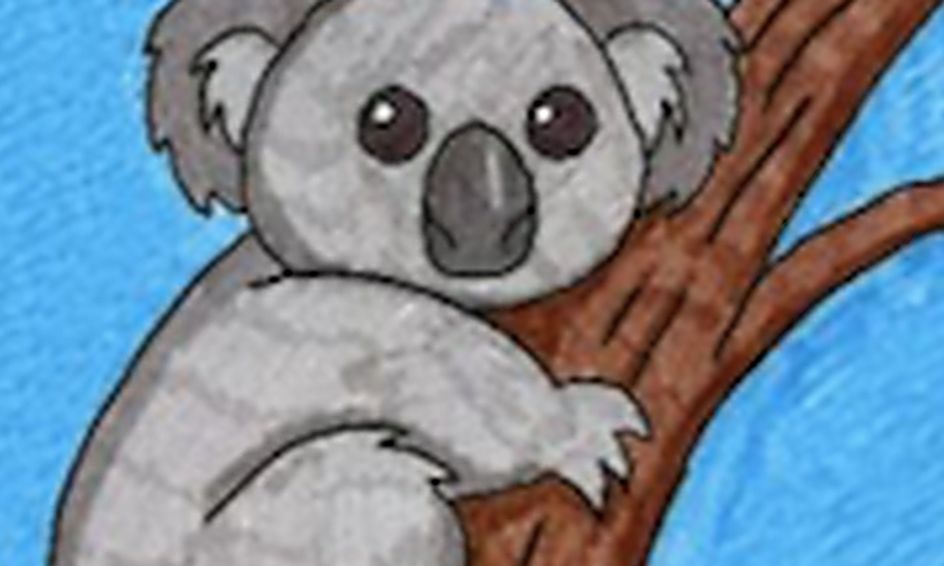 Baby Koalas Learn And Draw Small Online Class For Ages 6 10 Outschool