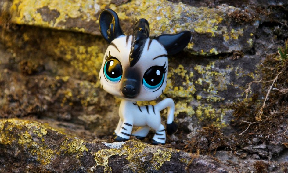 Let S Talk Littlest Pet Shop Lps Small Online Class For Ages 8 11 Outschool