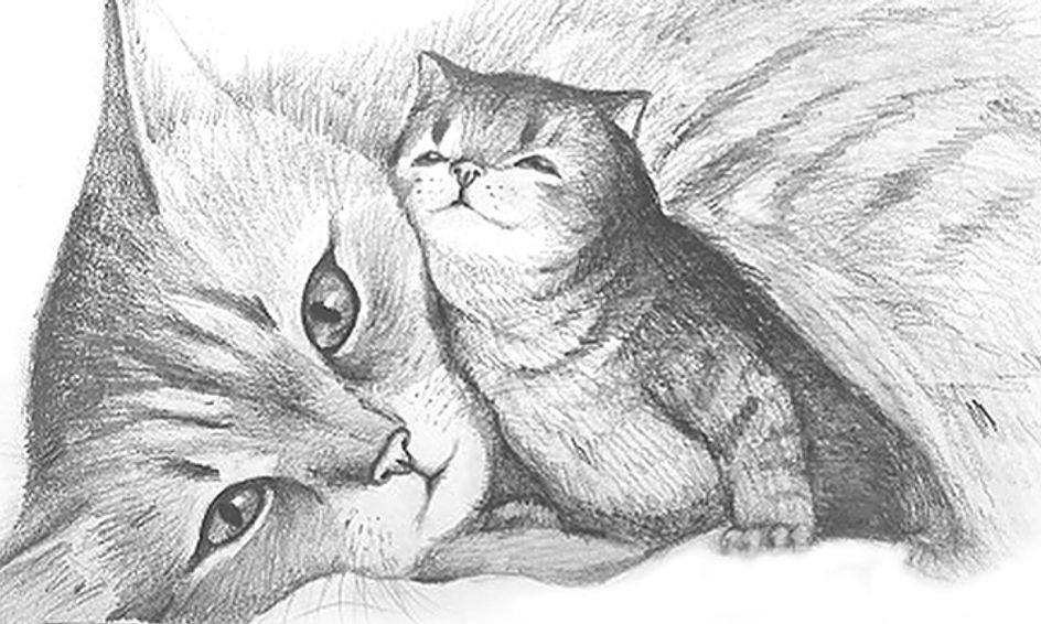 Pencil Sketching Mother S Day S Gift Special Mommy And Baby Kitty Cats Small Online Class For Ages 8 13 Outschool