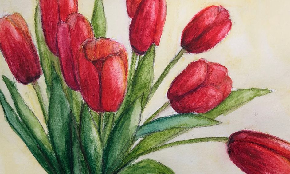  Drawing Tulips With Watercolor Pencils Small Online 