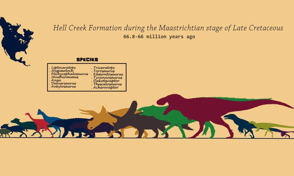 Fossil Locations: Hell Creek Formation | Small Online Class for Ages 8-13