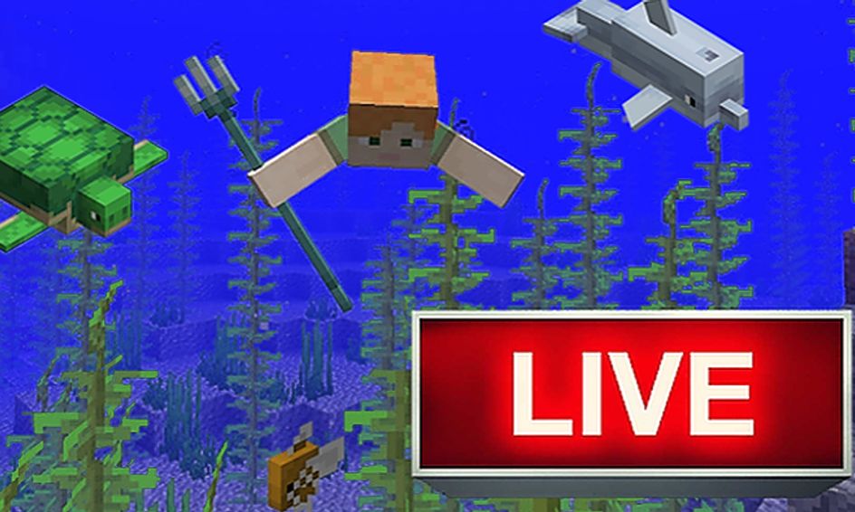 Marine Biology Ocean Ecosystems In Minecraft The Real World
