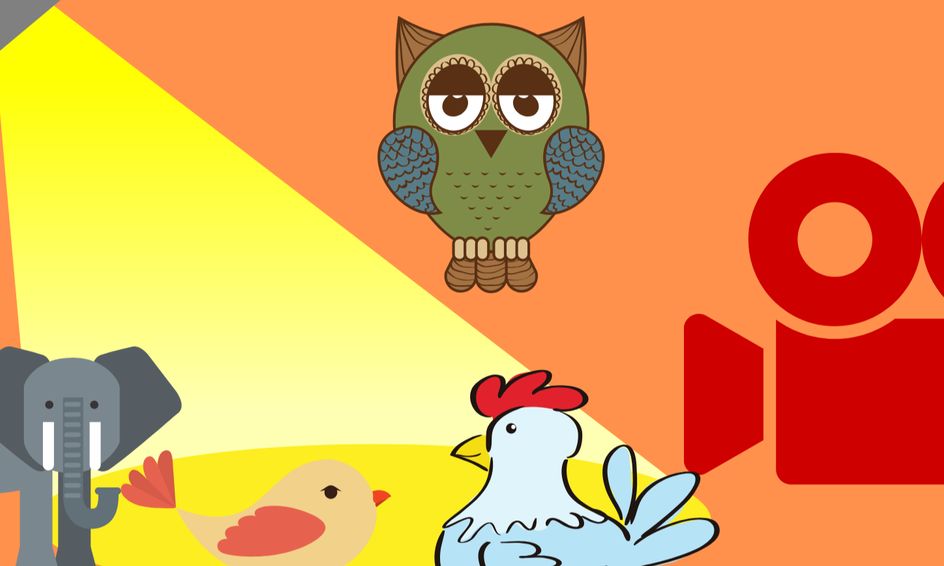 Lights Camera Action Stop Motion For Ages 8 11 Small Online