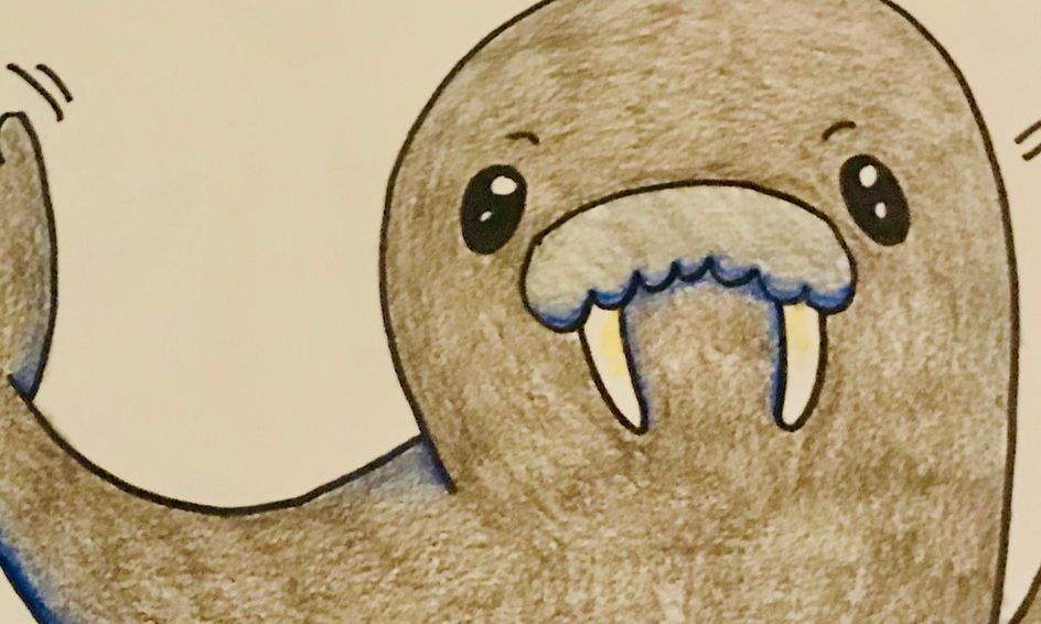 Draw It Walrus Small Online Class For Ages 7 12 Outschool