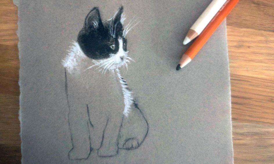 How To Draw Cats Small Online Class For Ages 8 12 Outschool