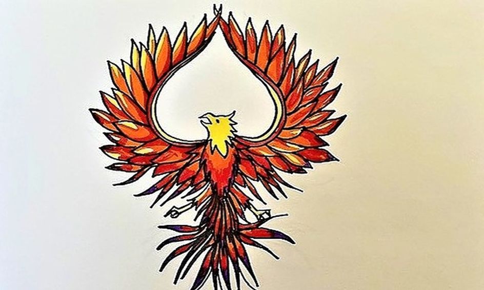 Draw A Fiery Phoenix Small Online Class For Ages 10 13 Outschool