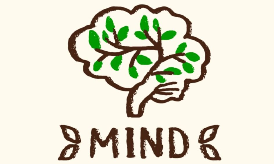 Mind Matters Introduction To Psychology Small Online Class For