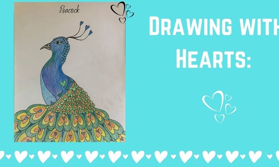 Drawing With Hearts How To Draw A Peacock Small Online Class For Ages 6 11 Outschool Our simple steps will guide you to drawing cartoons, illustrations, and cartoon characters with fun lessons for children. outschool