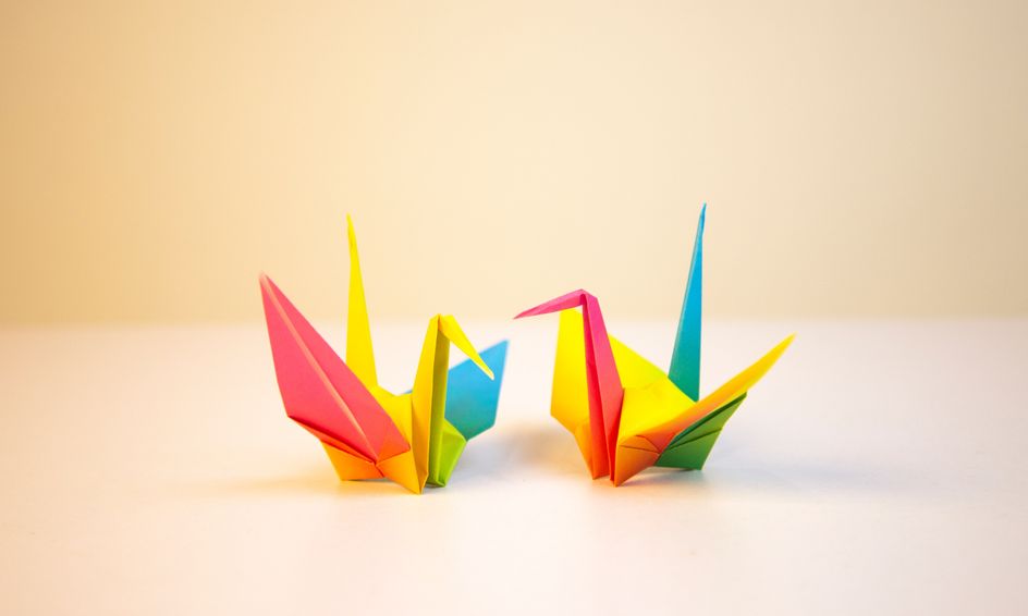 Learn How to Make Origami Summer Camp | Small Online Class for Ages 9