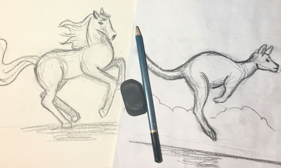 Animals In Motion Drawing Class Ages 9 Small Online Class For Ages 9 13 Outschool