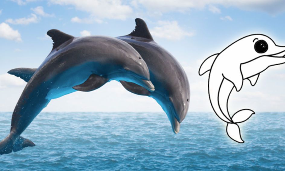Amazing Dolphin Adventures Art For Kids Small Online Class For Ages 5 10 Outschool - cute dolphin roblox