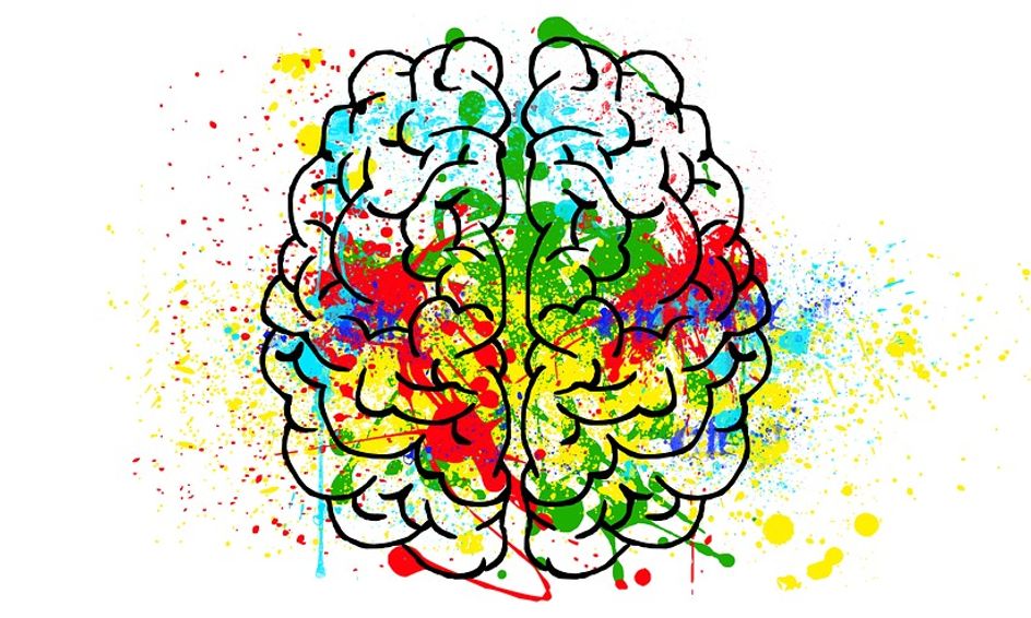 Abnormal Psychology Small Online Class For Ages 14 18 Outschool