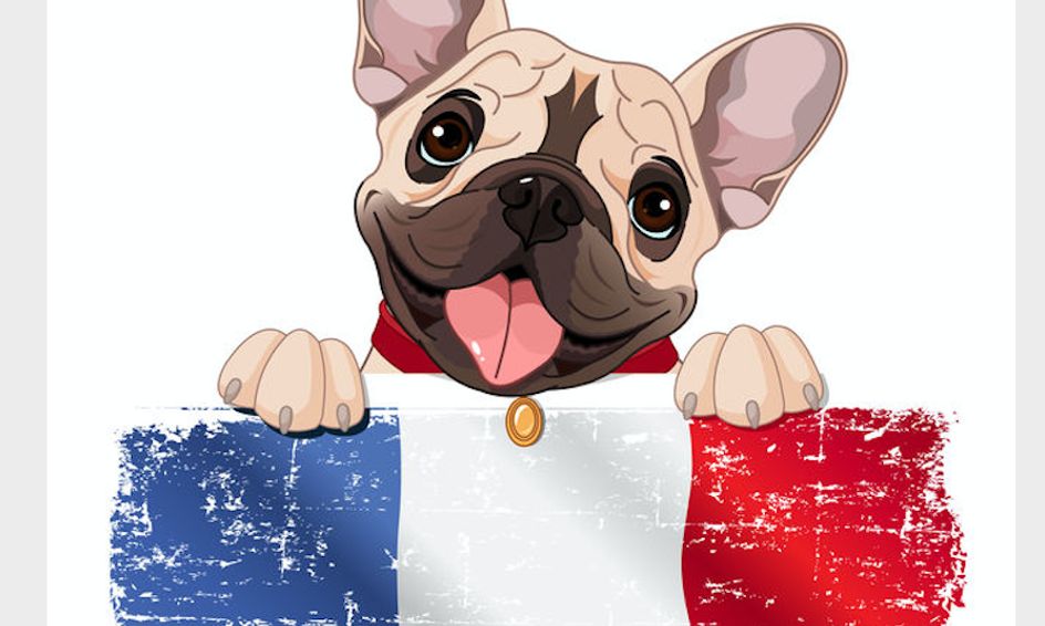 Learning The French Language Level One Summer Camp Small Online Class For Ages 7 10 Outschool