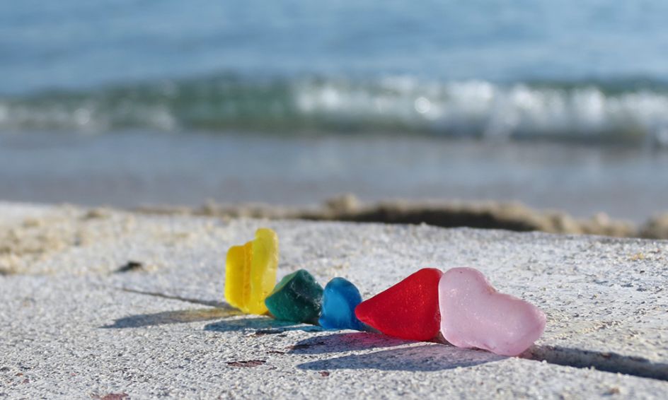 Marine Biology Basics Beachcombing Biology Small Online Class