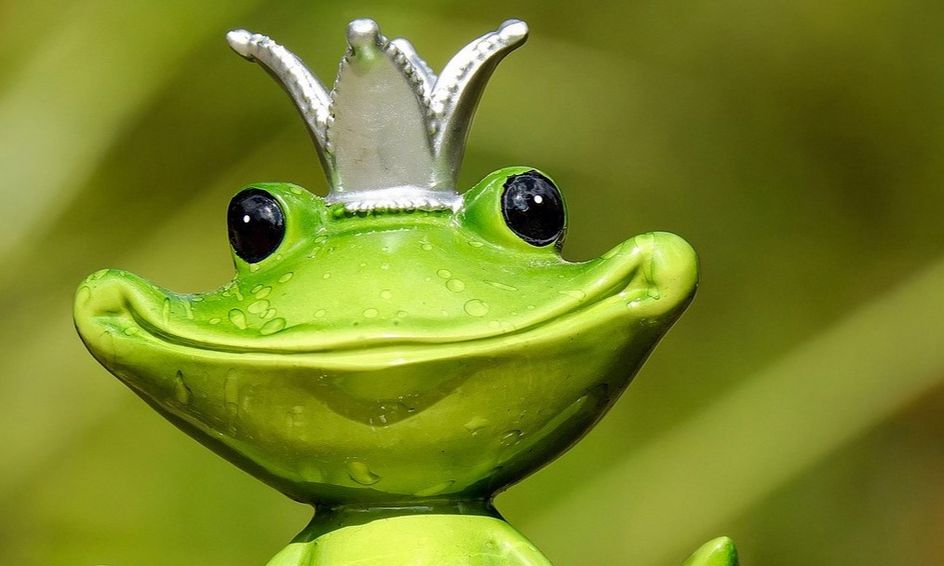 Nouns Are You Common Or Are You Proper Asked Mr King Frog Small Online Class For Ages 8 10 Outschool