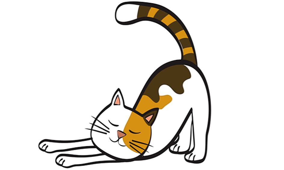 Drawing Let S Draw A Cute Calico Cat Small Online Class For Ages 6 11 Outschool,Outline Cherry Blossom Drawing Easy