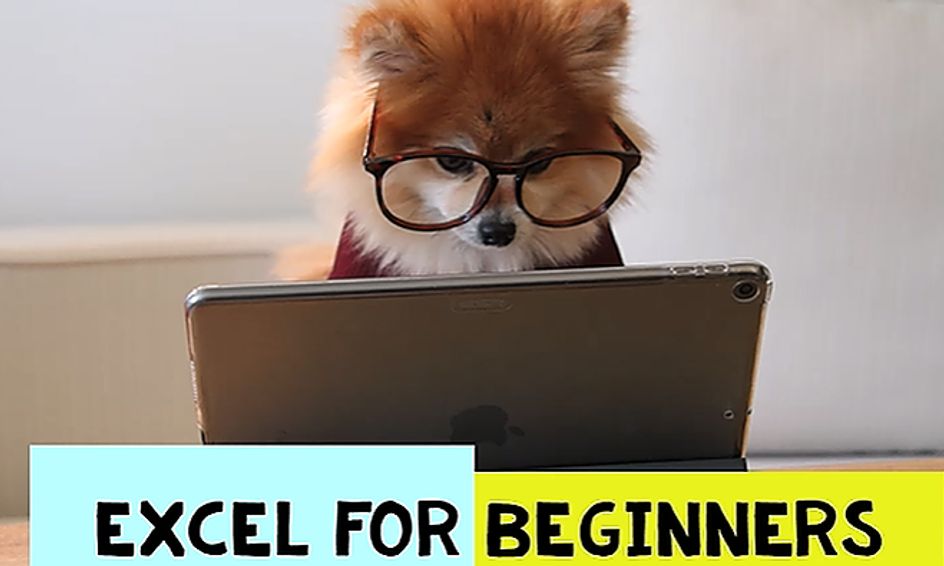 Microsoft Excel For Beginners Small Online Class For Ages 9 12