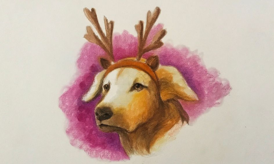 Christmas Season Learn How To Draw A Dog Golden Retriever Small Online Class For Ages 10 15 Outschool