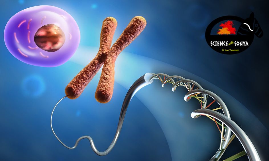 Biology Core Curriculum Test Prep Now I Understand Life Semester 1 Part 2 Small Online Class For Ages 10 15 Outschool