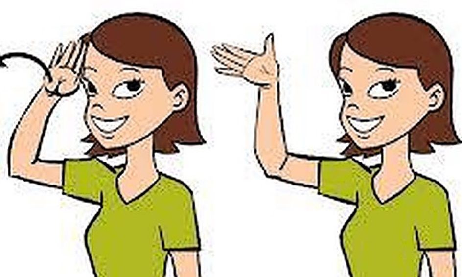 It S Nice To Meet You Introductions In Sign Language And Family Structures Small Online Class For Ages 7 12 Outschool