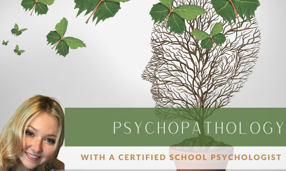 Psychopathology A Crash Course In Abnormal Psychology Small