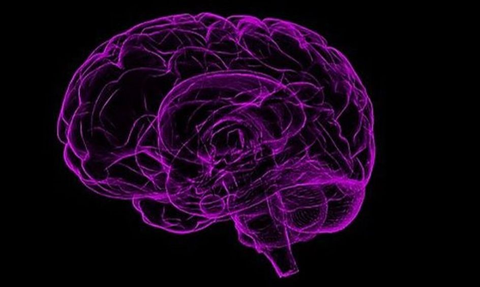 Introduction To Psychology Flexible Schedule Class Small Online