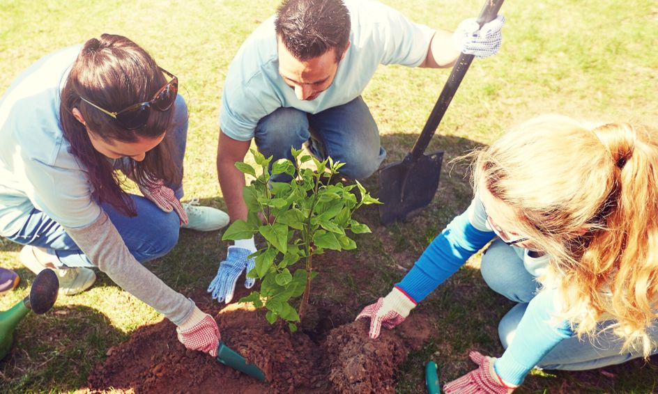 Teens Starting Nonprofits 6 Sessions Small Online Class For