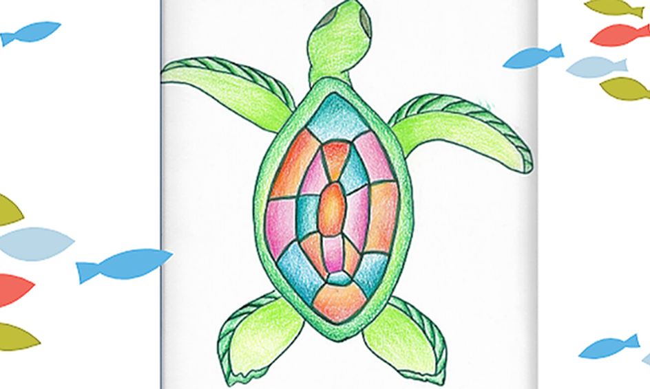 Let's Draw Sea Turtle Small Online Class for Ages 912